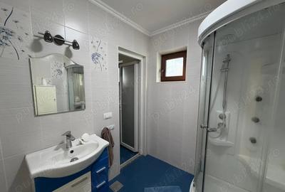 Casă de vânzare D+P+M în Alba Iulia, CETATE Schit cu 2 Garaje si 550 mp. Teren - 5