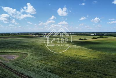 Teren Intravilan 9.918 mp Creața Dascălu, T66– Parcelabil - 8