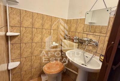 Garsoniera de inchiriat, petfriendly, Complexul Studentesc, Timisoara - 3