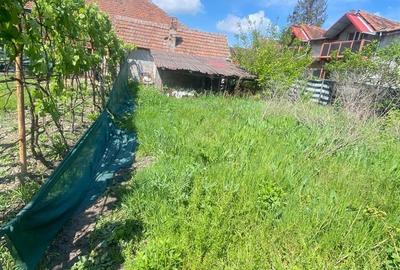 Apart la casa Bogdanestilor  curte  acces cu masina centrala proprie - 20