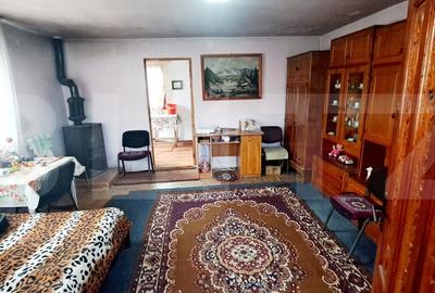 Casa individuala 90mp,teren 1000mp,situata in Dezmir - 3