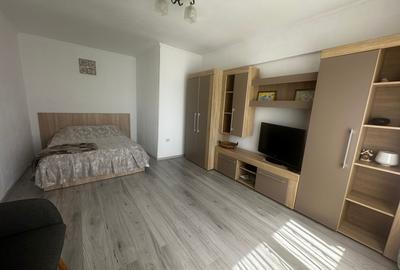 Inchiriere apartament 1 camera zona Calarasilor Viziru etaj 2 - 2
