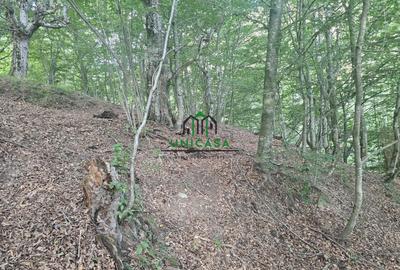 Teren extravilan de 3903 mp, în Est