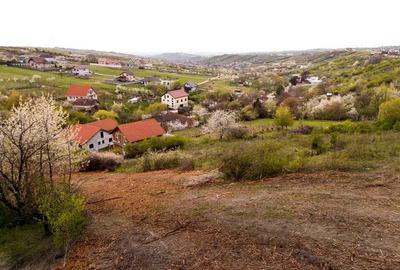 RECO Teren intravilan in Oradea 2086mp - 10