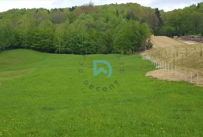 Teren zona turistica - 1