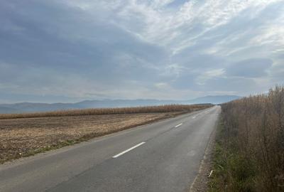 Teren extravilan, Prejmer, front asfalt - 2