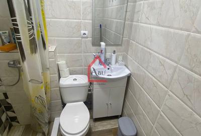 Apartament cu 2 camere, Tatarasi, Renovat - 8