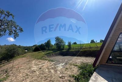Casă de vacanță + 17.490 mp teren – zonă turistică Transapuseana - 5