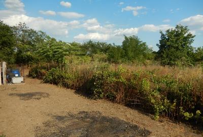 Calugareni-Branistari- casa 4 camere, teren 1965 mp, curent, put, libera,69900 € - 31