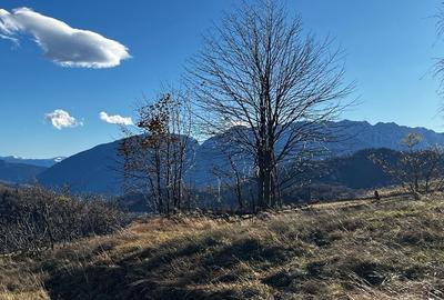 Teren extravilan 2ha, priveliste panoramica spre munti /Poiana Marului - 6