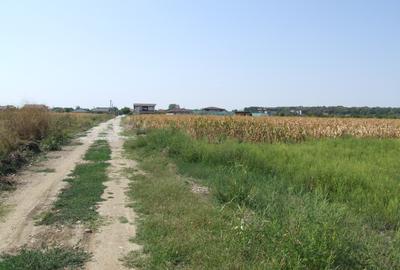 Domnesti-Teghes, teren 9.817 mp strada Pinului - 9