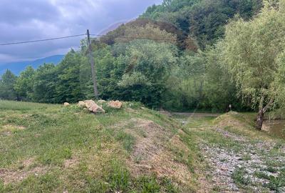 Teren 2,000mp Copalnic-Manastur / Strada Principala - 3