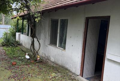 Afumați, jud. Ilfov, strada Mircea Vodă, casă demolabilă - 5