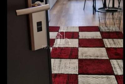 Apartament mobilat si utilat, Cartier Maurer Residence - 9