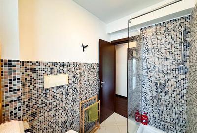 Apartament de inchiriat 3 camere Herastrau - 12