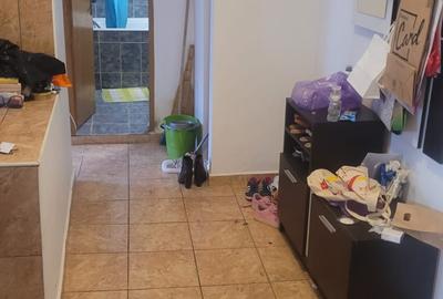 Colentina Teiul Doamnei - 1