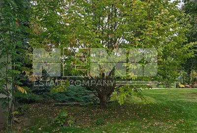 Casă/Vila + Teren 13 Ari de Vânzare |Lisaura/Suceava I 280.000 Euro - 18