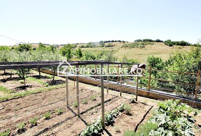 Teren intravilan 1.300 mp.zona Belvedere Targu Mures - 13