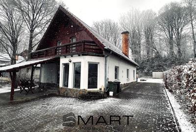 Casa de vacanta cu teren 2000mp Valea Avrigului - 1