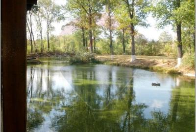 Popasul Tamboiesti - 5