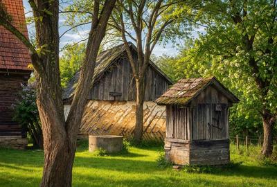 FILM! 4.900mp teren intravilan, cu casa, in Tufalau, Covasna - 4