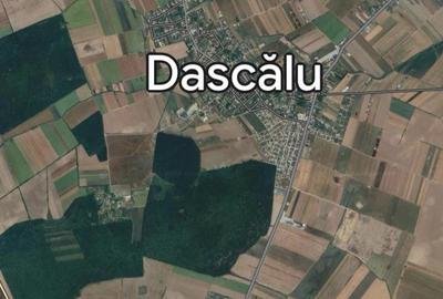 DJ200  Stefanesti de Jos / Dascalu    - Targoviste Gaesti  Vanzare  Teren - 8