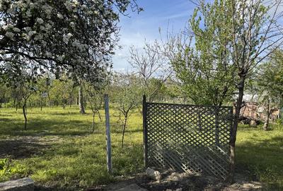 Casă + teren 1600 mp – Ulmeni, Buzău - 12