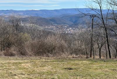 Teren 9220 mp, Resita, Extravilan - 1