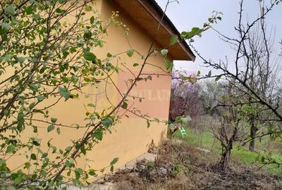 BARCANESTI -  casa +curte+teren 16k mp - 20