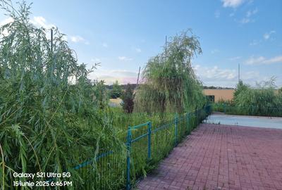VANZARE CASA OASPETI + ANEXE IN  SAT TEISORI (JUD. GIURGIU) - 19