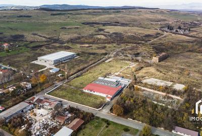 De vânzare Hală 1450mp producti industrial 15000mp teren Călan Jud. Hd - 25