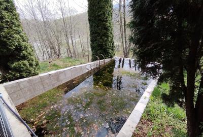 Proprietate de vacanta Valea Oltului - BREZOI - 5