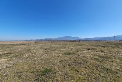 Teren Rasnov spre Bran pretabil investitie 4 euro/mp - 2