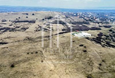 Teren de vanzare in Sibiu 67.500 mp, extravilan, Dealul Daii - 6