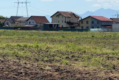 Loturi de casa, PUZ aprobat, intravilan, utilitati in curs de executie - 6