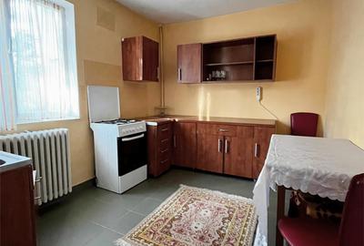 Apartament de inchiriat, o camera, semidecomandat, 35 mp, Podu Ros - 3