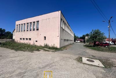 Hală Industrială de inchiriat – Lipova, Județul Arad - 4