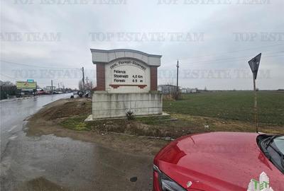 Teren comercial 7169mp la baza nod km35 pe A1 - 4