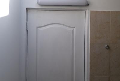 Vilă de  la Podul Grant – 250 mp + 100 mp curte - 45