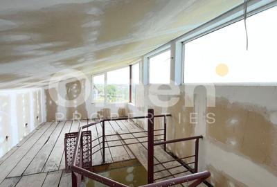 Casa de vânzare Tăuții-Măgherăuș de 323 mp si 57 de ari teren - 3
