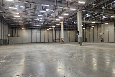 Spatii Industriale - 15000 mp - Logistica - Depozitare - Productie - 3