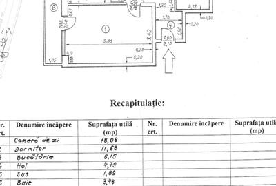 2 camere elegante Dorobanti - 10
