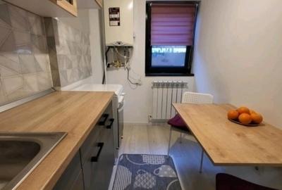 Apartament cu 1 camera - zona Tudor Vladimirescu - Iulius Mall - 2