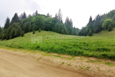 Teren intravilan langa Poiana Brasov, 52 mp front