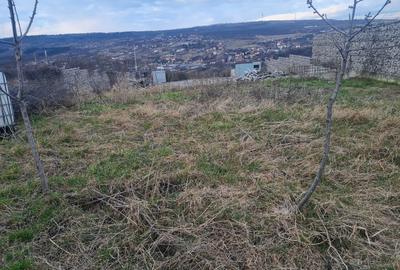 Vând teren 726mp, Str. Adjudului, Cluj-Napoca, 320000 Euro - 1