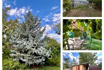 Casa de vanzare Belciugatele - DIRECT PROPRIETAR - 8