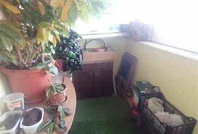3 CAMERE, DECOMANDAT, LANGA SALA OLIMPIA! - 13
