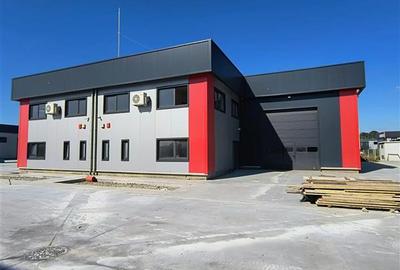 Inchiriere depozit/hala/spatiu industrial Domnesti - Centura - 1