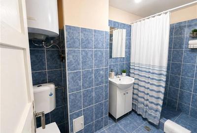 Nivel in casa cu 2 apartamente,145 mp utili+ teren 338mp, Gheorghe Doja - 13