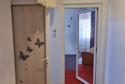 Podul Inalt ,se vinde la parter apartament 2 camere pret 41500 euro negociabil - 8